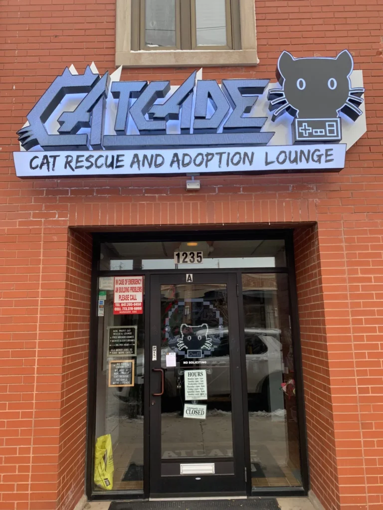 NeonArts-catcade-adoption-sign
