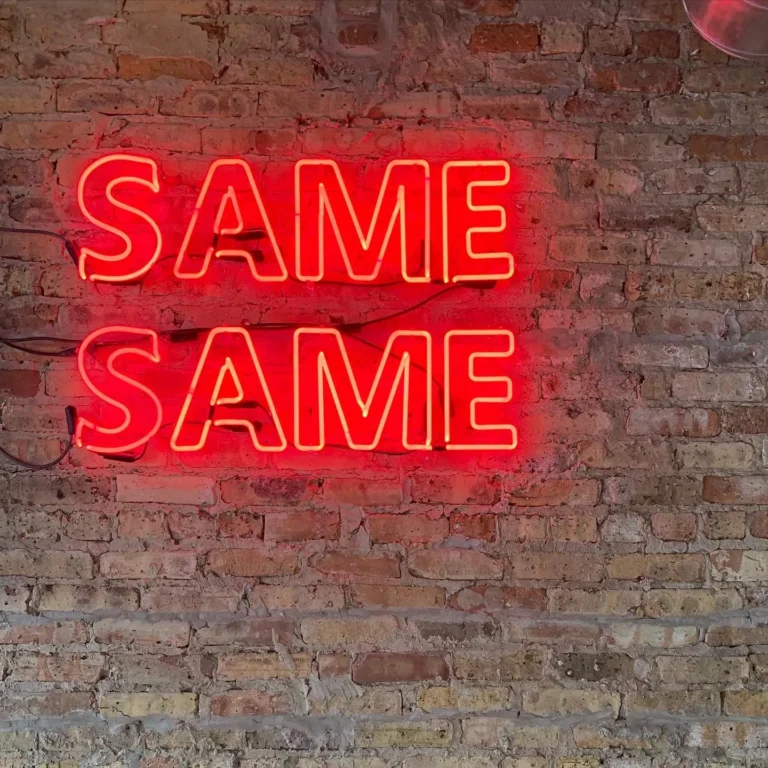 Neon sign featuring same same neon text
