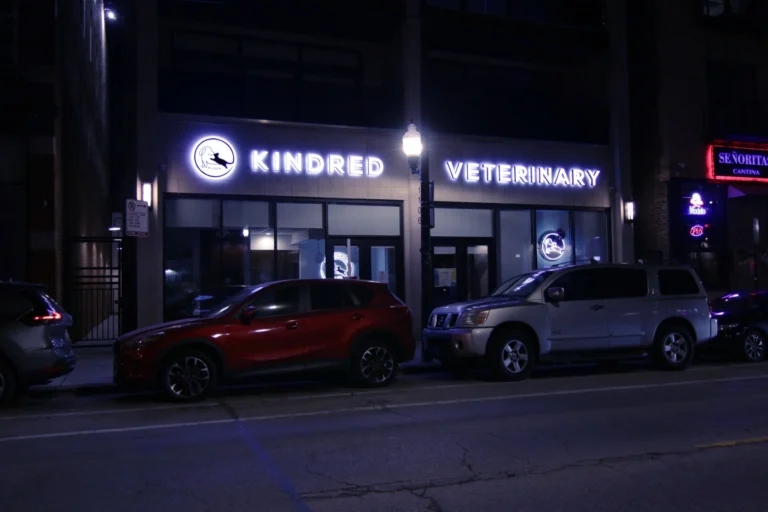Veterinary Light Sign in vibrant LED neon